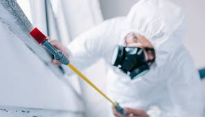 Best Real Estate Pest Inspections  in Sandy Springs, GA